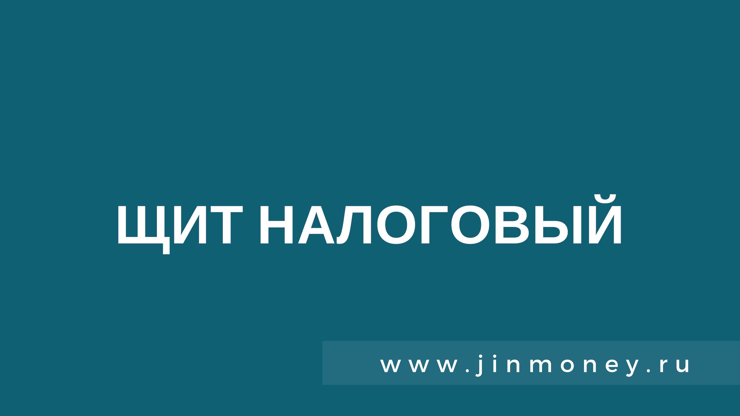 щит налоговый