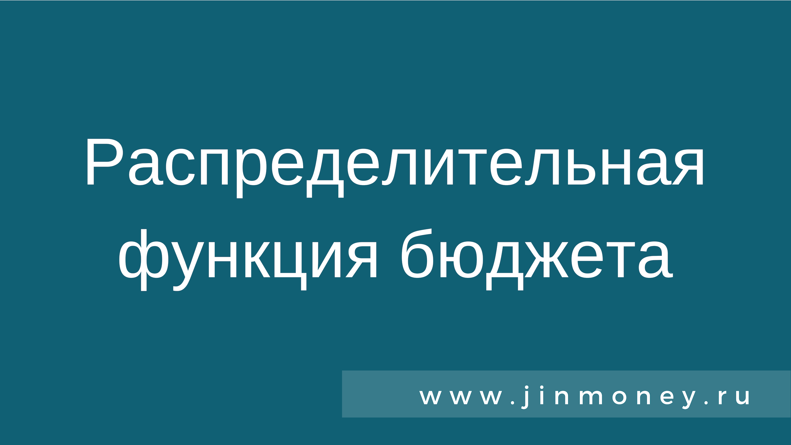 Распределительная функция бюджета
